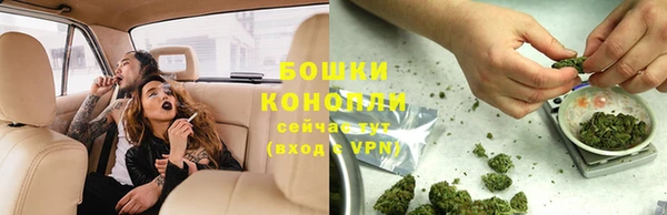 крисы Абаза