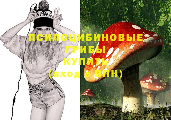 метадон Алексеевка