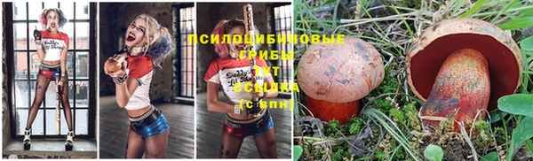 кокс Алзамай