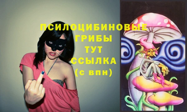 кокс Алзамай